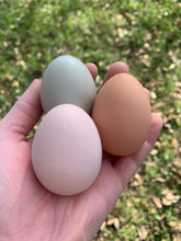 Load image into Gallery viewer, Urban Farm Fresh Eggs